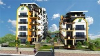 Our New Projects
