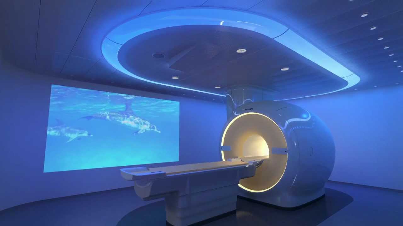 Ingenia Ambient Experience